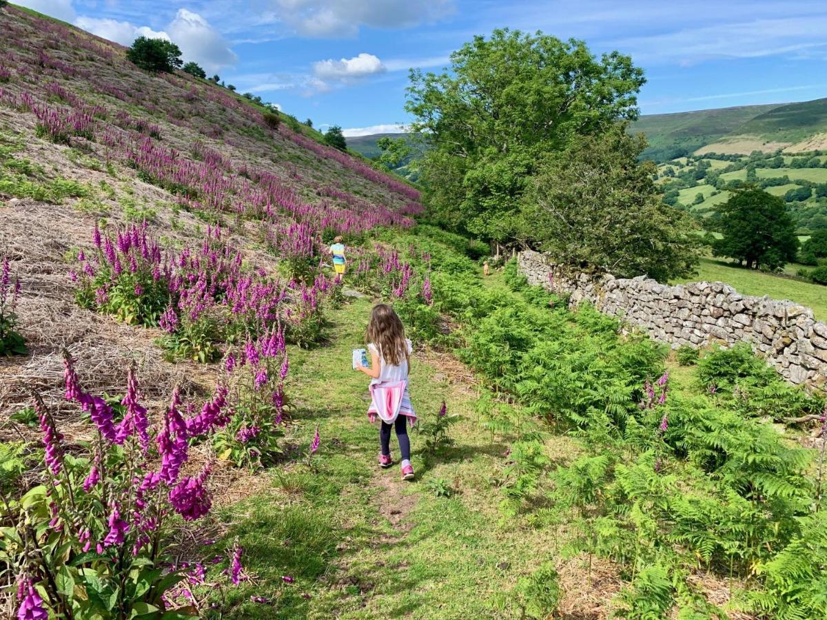 Black Mountains Stylish Hideaway, Nr Crickhowell Llanbedr  Luaran gambar